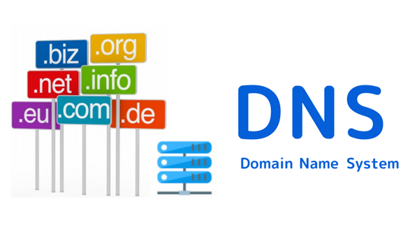 DNS服务器